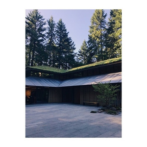 免费动漫成本人视频网站
