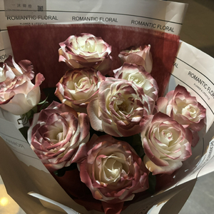 免费动漫成本人视频网站
